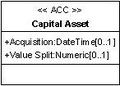 Capital Asset.jpg